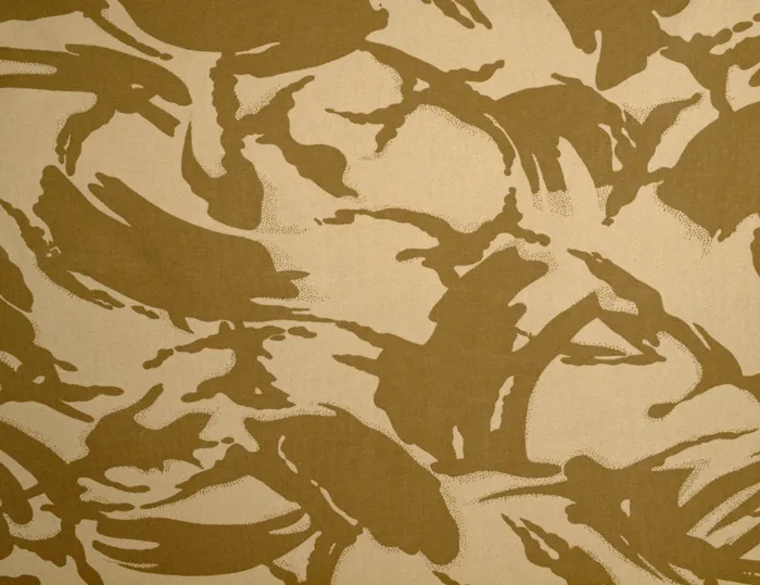 Product, code CFS 1013